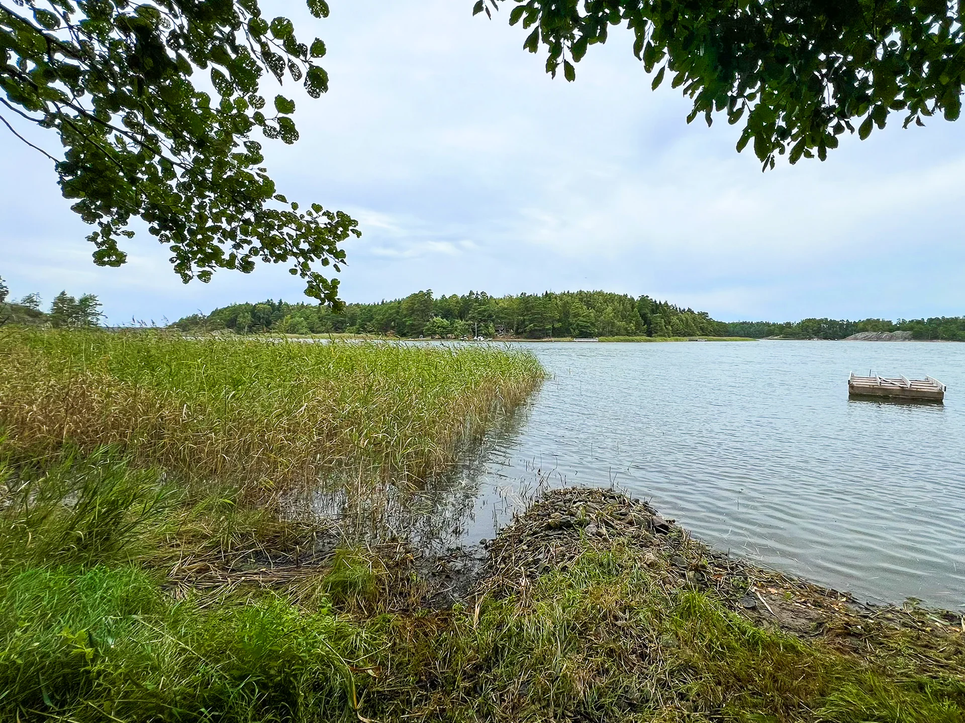Saaristoranta kaislanleikkuun jälkeen
